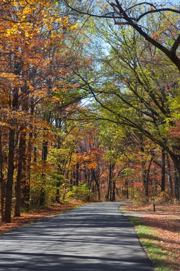 Brown County, Indiana rural road